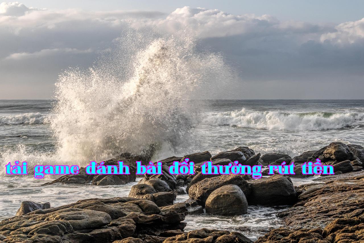 /imgposts/r9a441a6.jpg